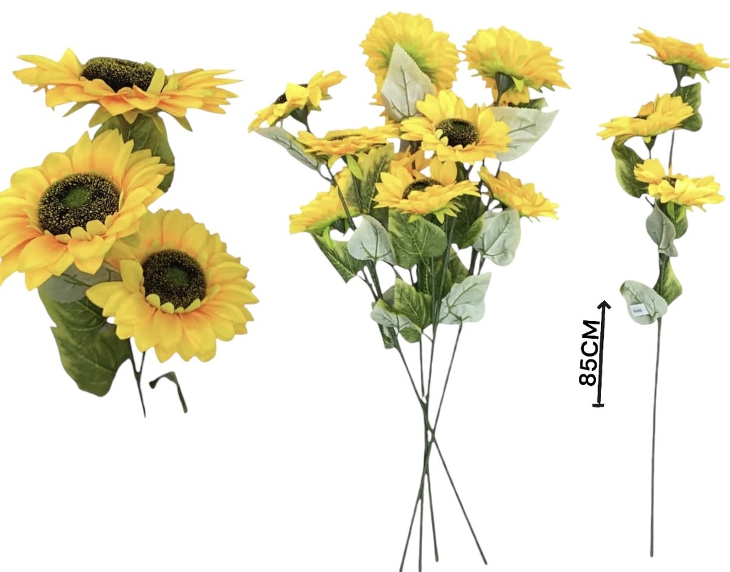 GIRASOL MEDFIANO 510321