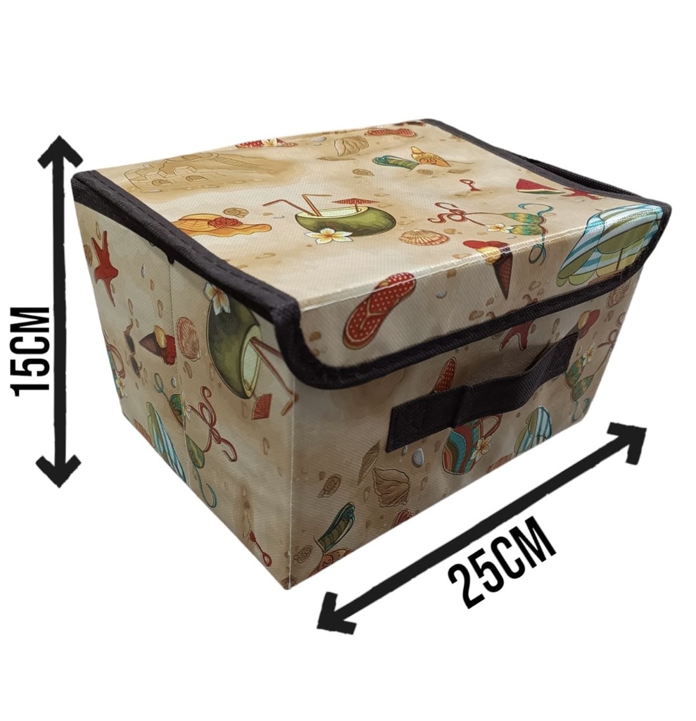 510861 CAJA DE GUARDAR