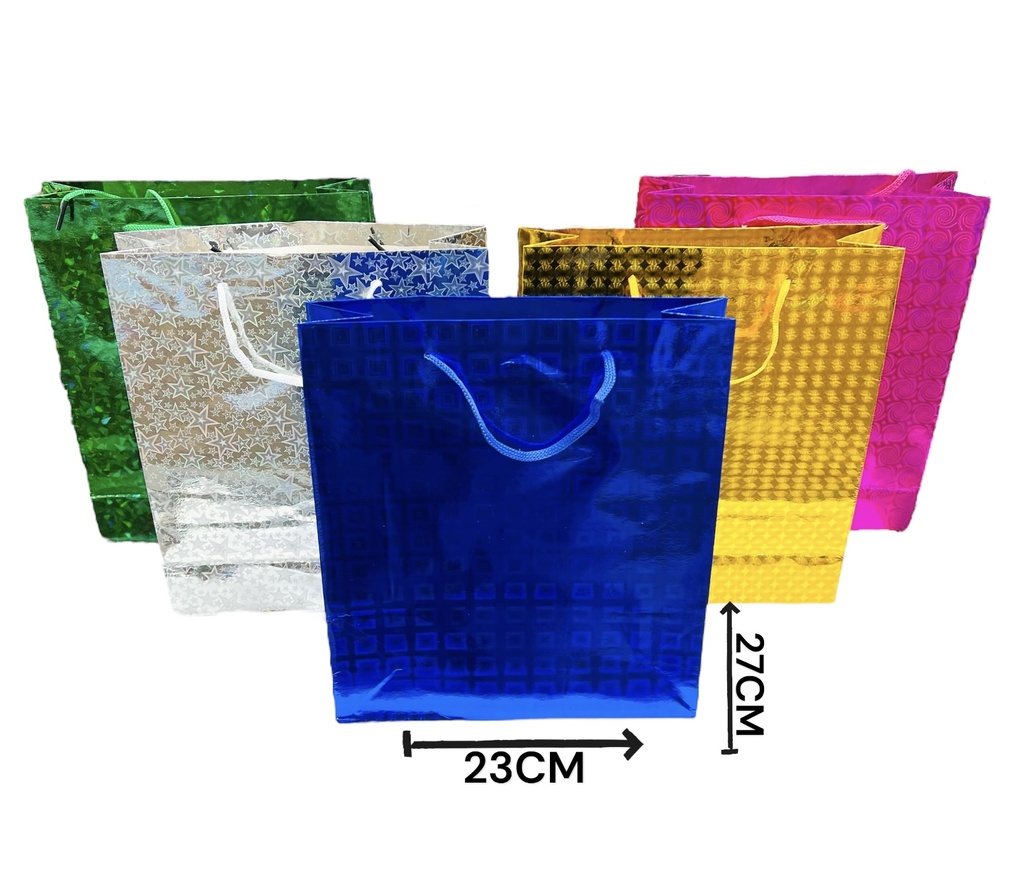 510819 BOLSA DE REGALO 27*23*8