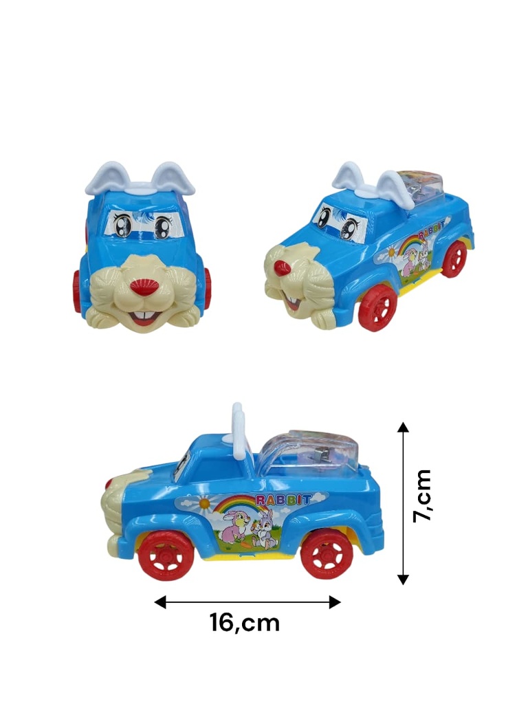 623249 AUTO BOLSA  CONEJO
