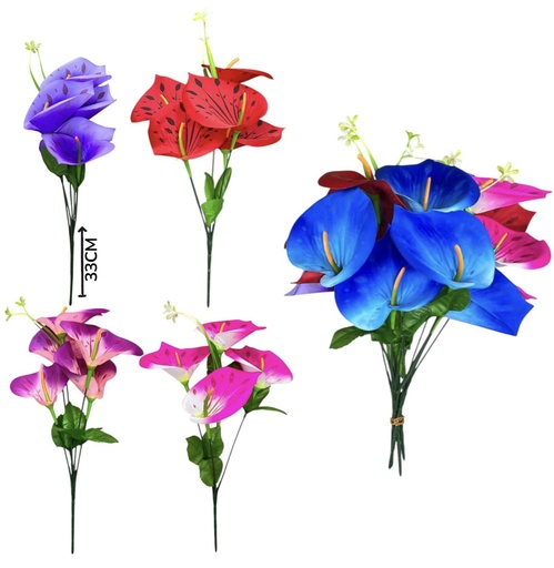 512733 FLOR CALA AFRICANA