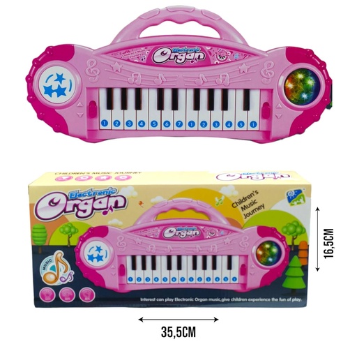 623095 ORGANO